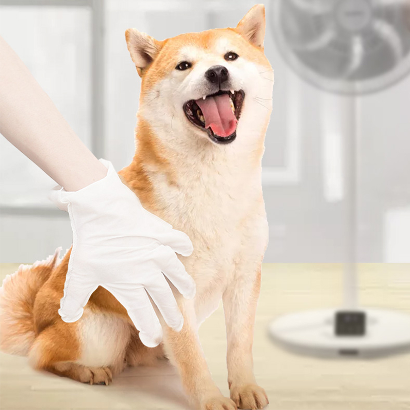 Bonum est uti Disposable Non texta Gloves enim Suspendisse?